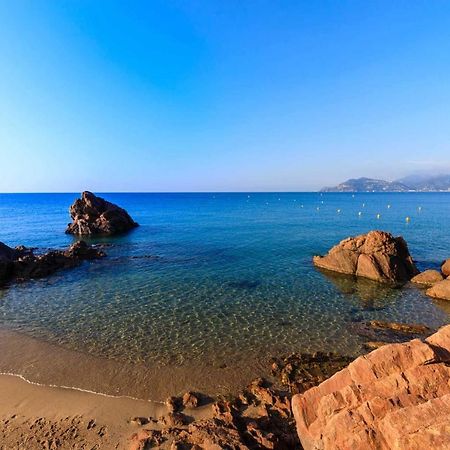 A 10 Min De La Croisette - Pieds Dans La Mer Cannes Exterior foto